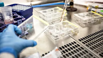 SMA hastalığı nedir? SMA tarama testi kimlere yapılır? İşte teşhisiyle ilgili ayrıntılar