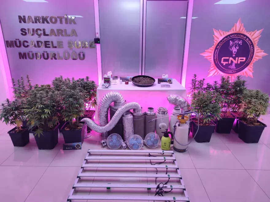 Apartman dairesini esrar bahçesine çevirmişler 2