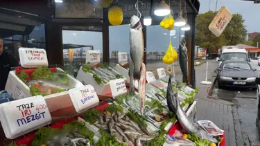 Hamsi beklentisi yüksek, palamut için umut sıfır