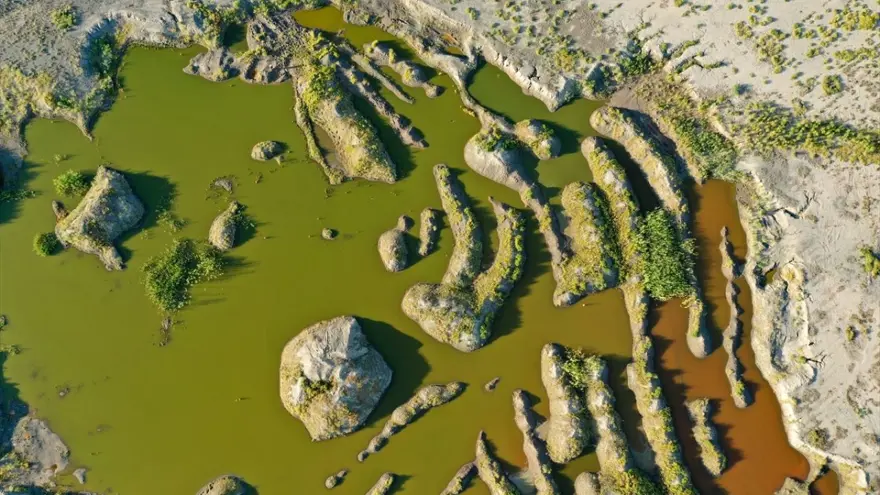 Ağrı Dağı eteklerindeki renkli sulak alanlar ilgi çekiyor 5