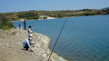 Kafesler patladı, haberi duyan baraja koştu