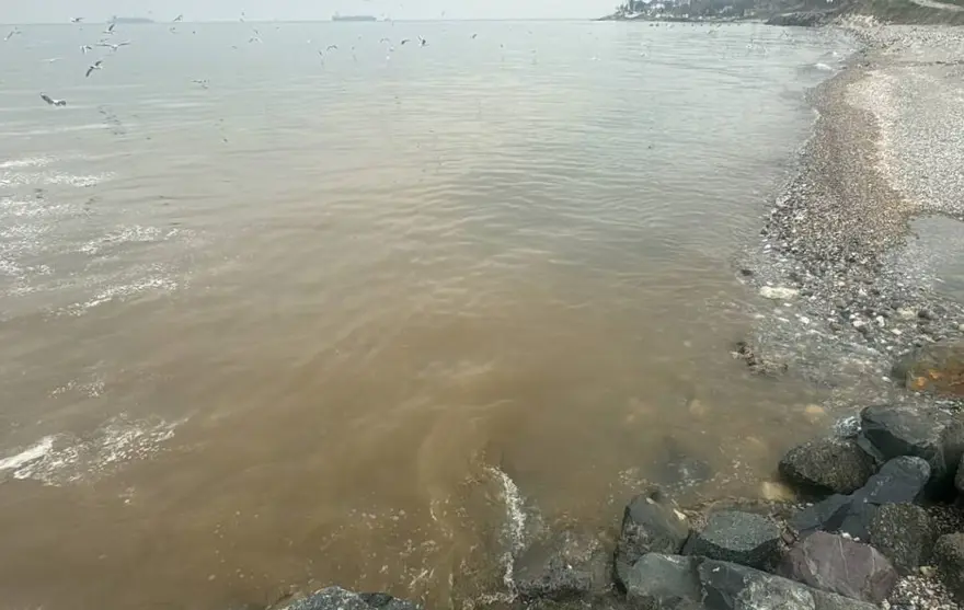 Beylikdüzü'nde kanalizasyon suyu denize aktı 1