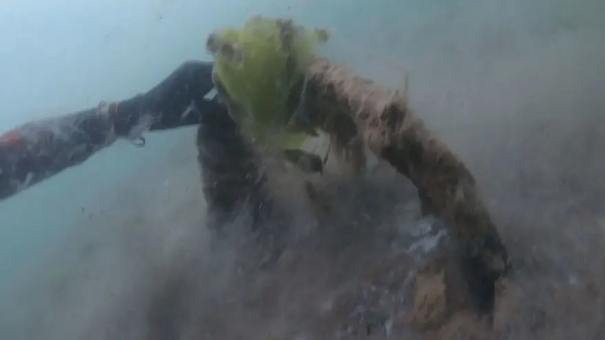 Deniz dibini saran 'Deniz salyası' görüntülendi 5