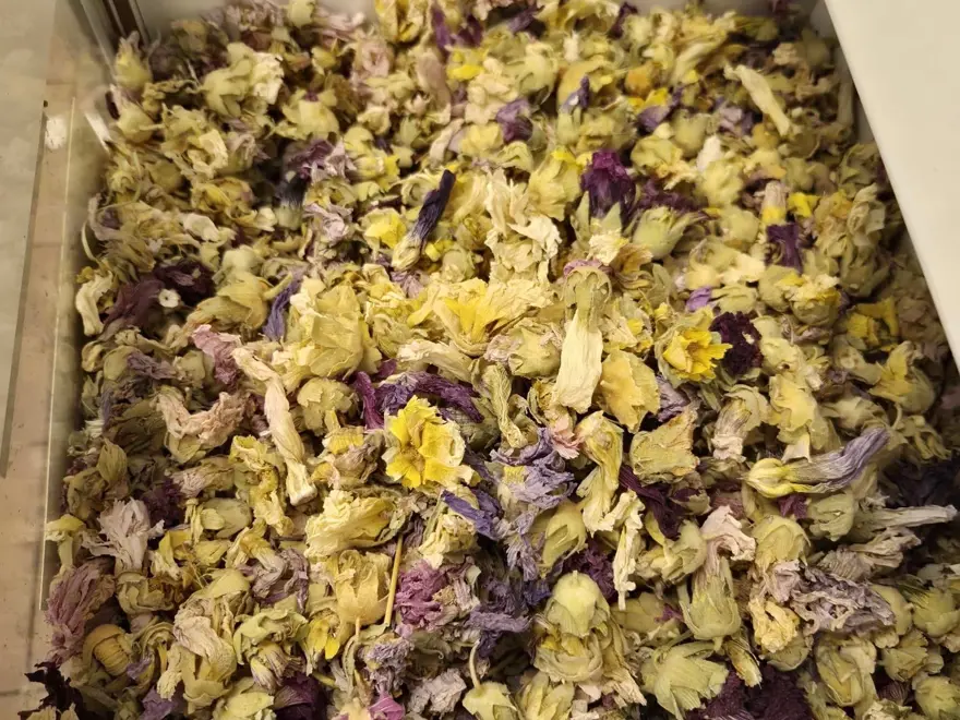 "SAÇ VE CİLT İÇİN DOĞAL YAĞLAR" 4