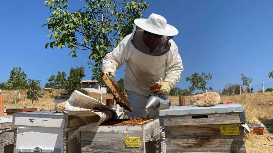 D&uuml;nyanın en iyisini Eskişehir'de &uuml;retti: 2 bin 925 prolin değeri var 2