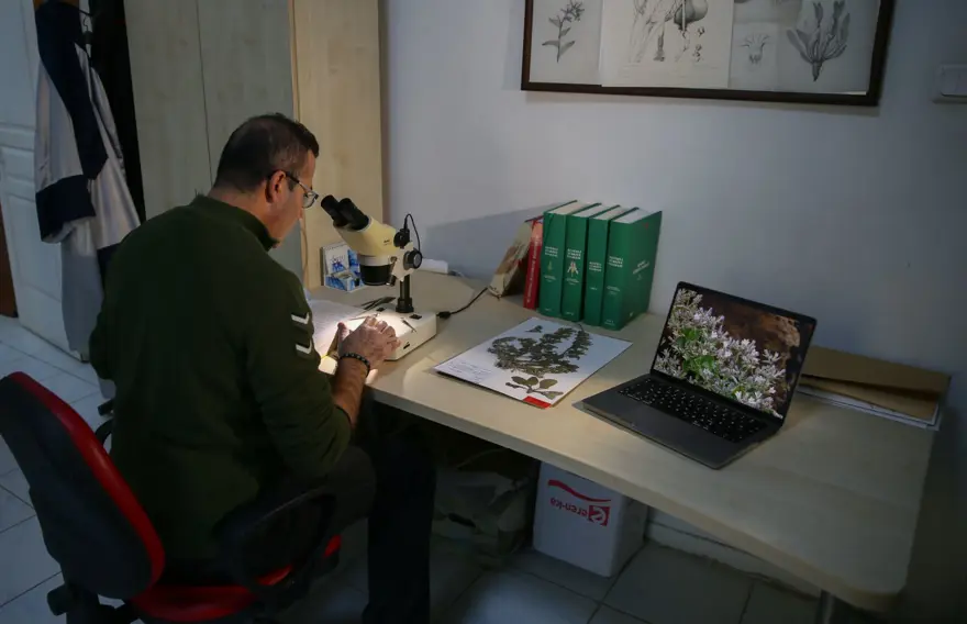 Munzur Vadisi'nde keşfedilen bitki türü literatüre kazandırıldı 1