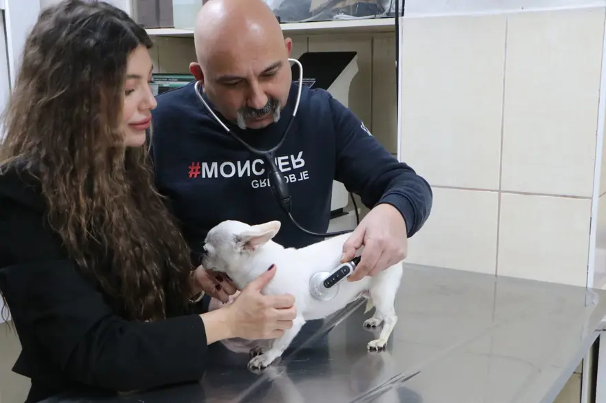 Gece horlamasıyla sahibini uyutmayan "Mini" 1