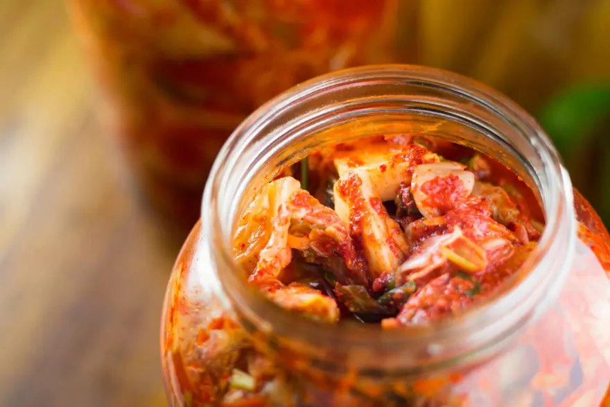 KOMBUCHA 5 KOMBUCHA 5