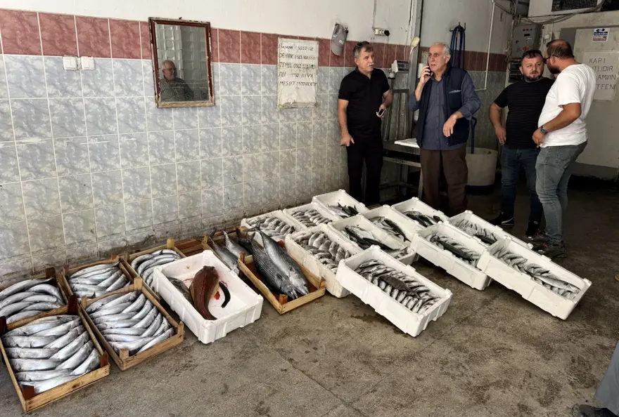 Balıkçıların yüzü güldü : 1 gecede yaklaşık 9 bin palamut 1