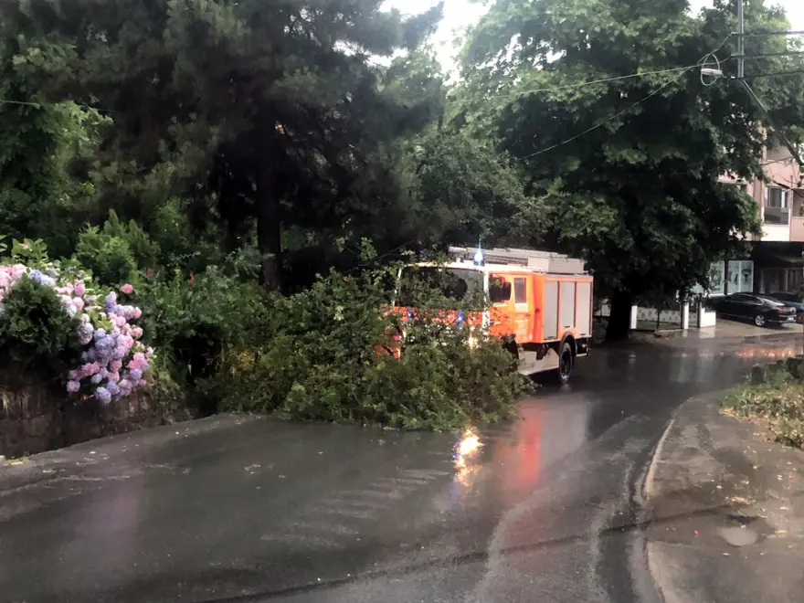 Zonguldak'ta sağanak: Yollar göle döndü 6
