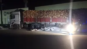 Brandayı toplayan TIR sürücüsüne otomobil çarptı