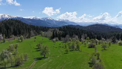 ''Sakin şehir'' adıyla biliniyor: Yeşilin kentinde tabloyu andıran manzaralar