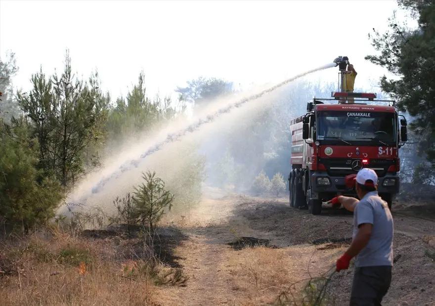 Çanakkale'deki orman yangını kontrol altına alındı 1