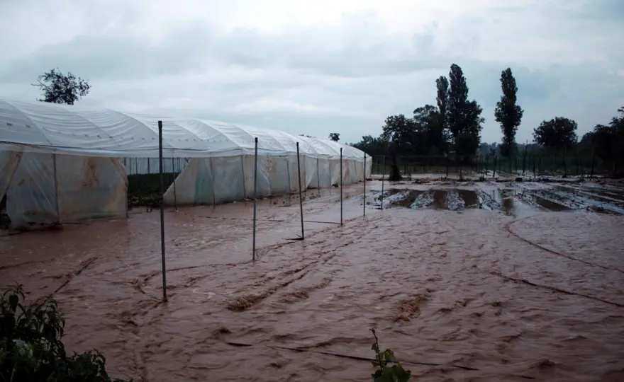 Sağanak tarım arazilerine zarar verdi 3
