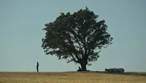 Altın Portakal Film Festivali Ulusal Yarışma Filmleri belli oldu Altın Portakal Film Festivali Ulusal Yarışma Filmleri belli oldu