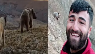 Selfie için ayının peşinden koştu