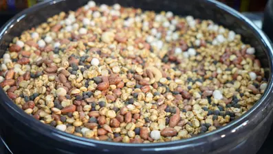 Çereze talep arttı: Sahurda tüketince gün boyu tok tutuyor