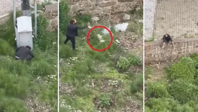 Trabzon'da vahşet: Yavru kediyi ezerek öldürdü