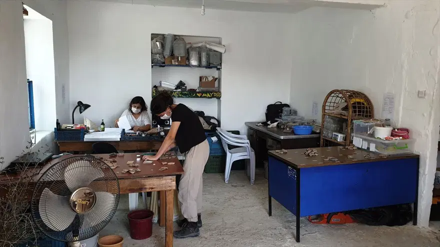 Kazı alanından çıkartılıp hayata döndürülen kedi: Mokali 6