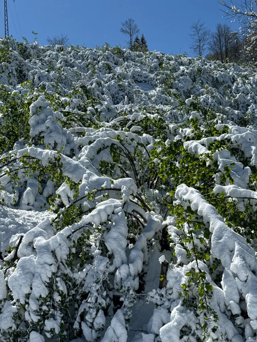 ‘KESİNLİKLE YOK EDEMEYİZ, KONTROL ALTINDA TUTABİLİRİZ’ 4