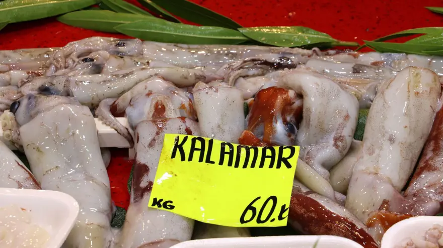KALAMARIN FİYATI 90 LİRADAN 60 LİRAYA DÜŞTÜ 2