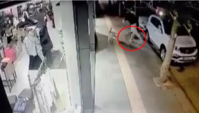 Ankara'da başıboş köpekler yoldan geçen gence saldırdı