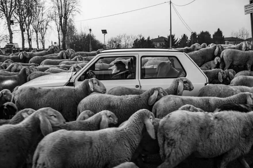 2021 Urban Fotoğraf Yarışması’nın finalistleri 22 2021 Urban Fotoğraf Yarışması’nın finalistleri 22