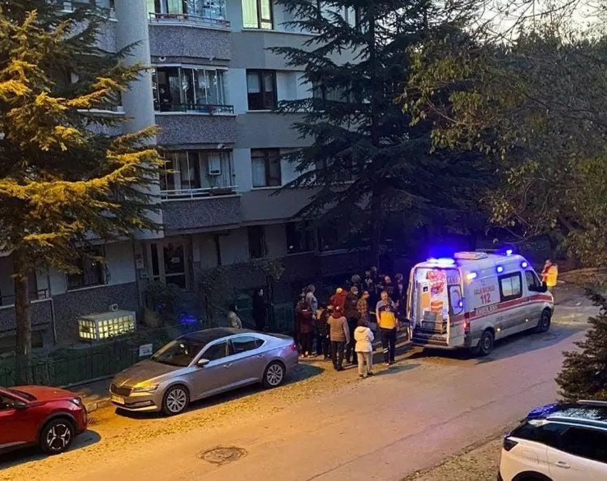 Ankara'da başıboş köpek dehşeti: Kadın akademisyenin bacakları ve yüzü parçalandı 5 Ankara'da başıboş köpek dehşeti: Kadın akademisyenin bacakları ve yüzü parçalandı 5