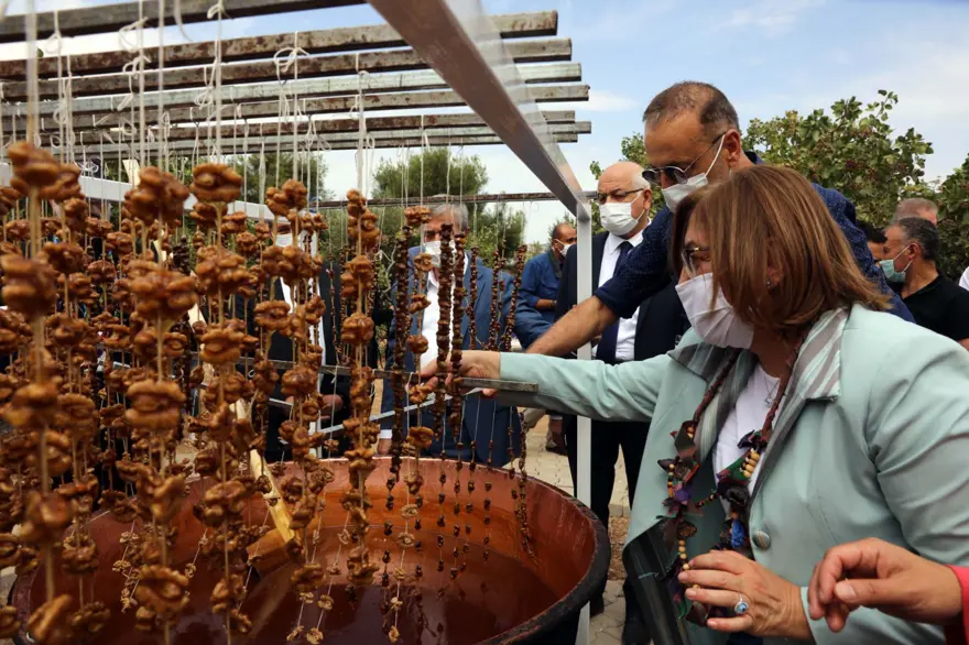 GastroAntep Festivali, fıstık hasadı ve şire yapımı ile başladı 2
