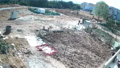 Esenyurt'ta kan donduran olay: Bir köpeği işkenceyle katletti, diğerinin derisini yüzüp kaçtı