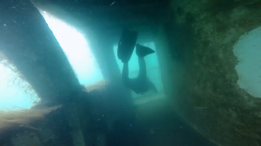 'Hayalet gemi' su altından görüntülendi 10