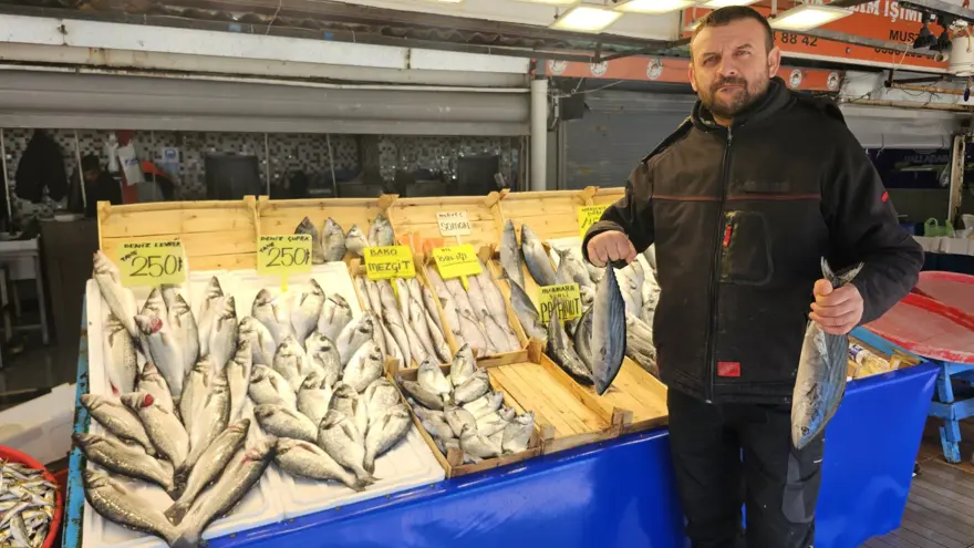 TEZGAHLARDA HAMSİ, SARDALYA VE LEVREK VAR 3