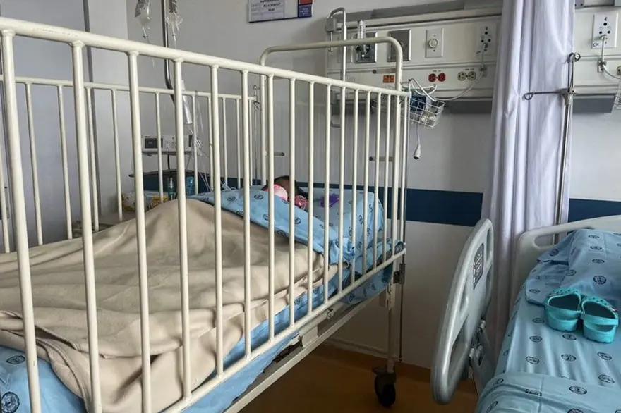 Kolombiya'da ormanda 40 gün sonra bulunan çocuklar nasıl hayatta kaldı? 10