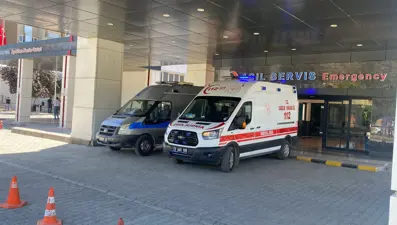 Ahırda süt sağan kadını kene ısırdı