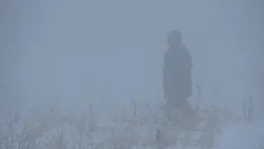 Erzurum'da sis etkili oldu