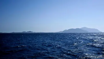 Akdeniz’de çöp kuyusu: Bilim insanlarını hayal kırıklığına uğratan keşif