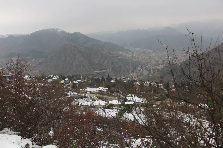 Anadolu'da varlığı sona ermişti! Avrupa'dan Amasya'ya getirildi: Türk uzmanlar 30 yıldır peşinde 4