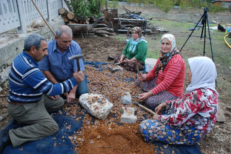 Toroslardan toplanıyor, sadece pekmez olarak tüketiliyor 10