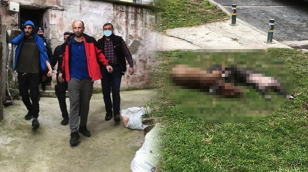 Sahipleri kendilerine saldıran iki pitbullu öldürdü