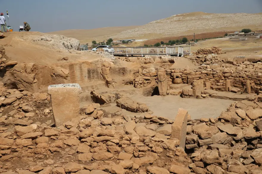 Neolitik döneme ışık tutacak! Taşta 11 bin yıllık eşek çizimi 18