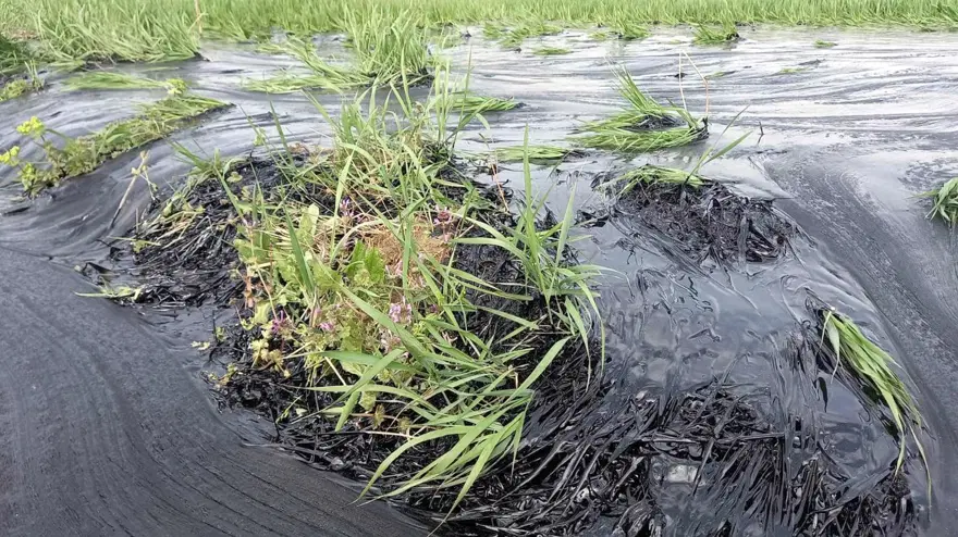 Edirne'de zift dolu havuzun patladığı şantiyenin faaliyetleri durduruldu 13