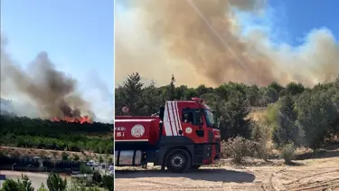 Gebze'de orman yangını