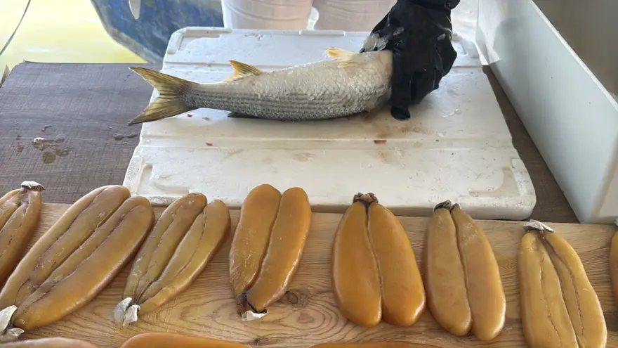 Adana'daki dalyanlardan avlanıyor: Besin değeri çok yüksek, sofralarda yerini alıyor 6