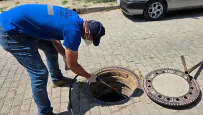 Şehri haşereler bastı, belediye harekete geçti