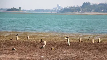 Seyhan Baraj Gölü'nün suyu çekilince mezarlar ortaya çıktı