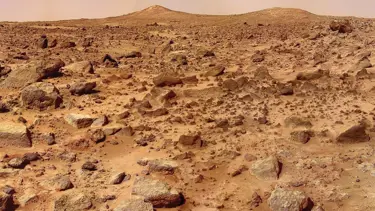 Mars'ta hayatta kalabiliyor! İnsan yaşamını başlatabilir