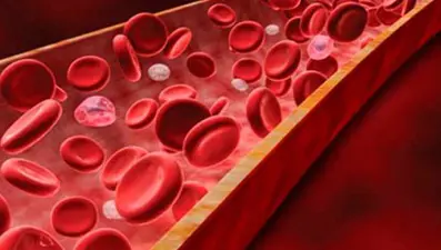 Kansızlık (anemi) hangi hastalıkların habercisi?