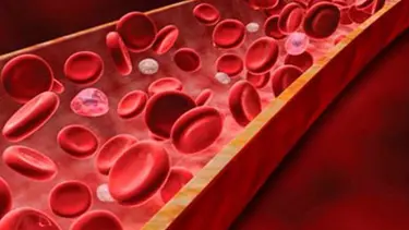 Kansızlık (anemi) hangi hastalıkların habercisi?