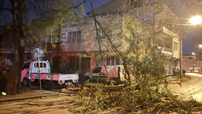 Bursa'da fırtına: Ağaçlar, tabelalar ve inşaat iskelesi devrildi