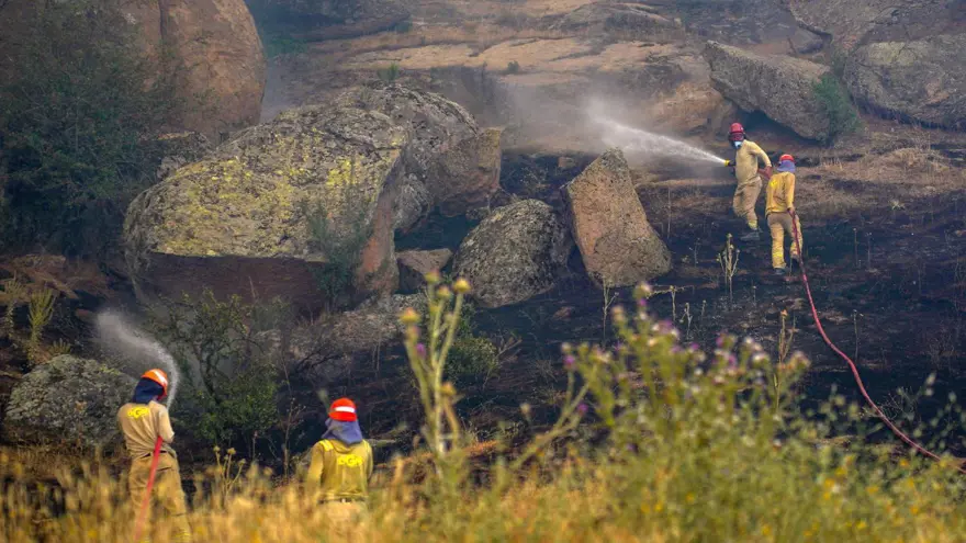 Bilecik, Sakarya, Eskişehir ve Karabük'te son durum: Çiftçiler orman yangınına karşı çukur kazmaya başladı 16